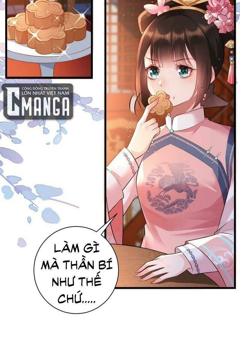 quận chúa vững vàng, thiết lập nhân vật không thể vỡ chapter 68 4