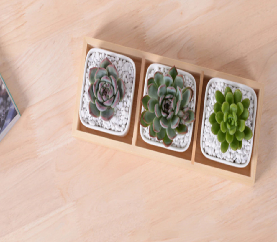 Hộp gỗ đựng cây cảnh 3 ô nhỏ kích thước 34 cm x10 cm