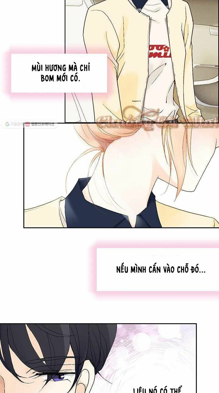 lee bom, em là của anh chapter 34 11