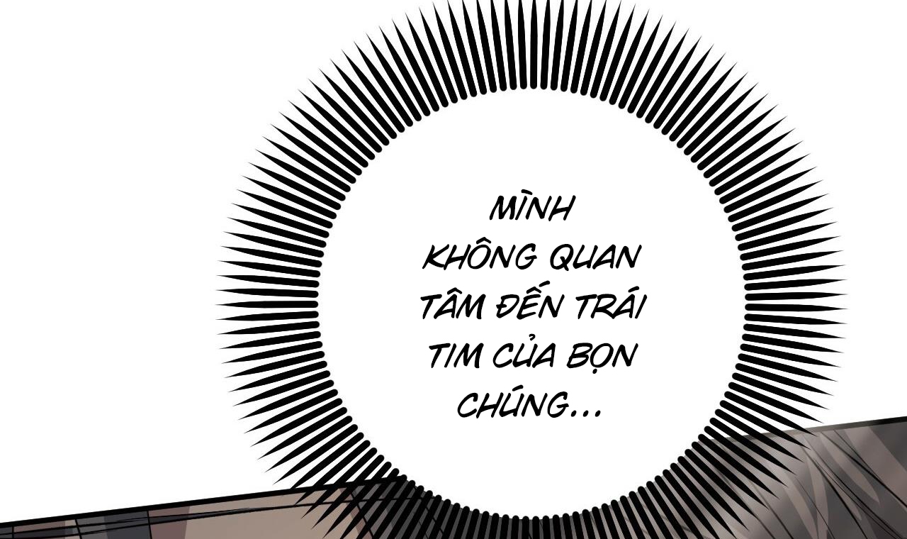 những chú thỏ của hapypy chapter 56 49