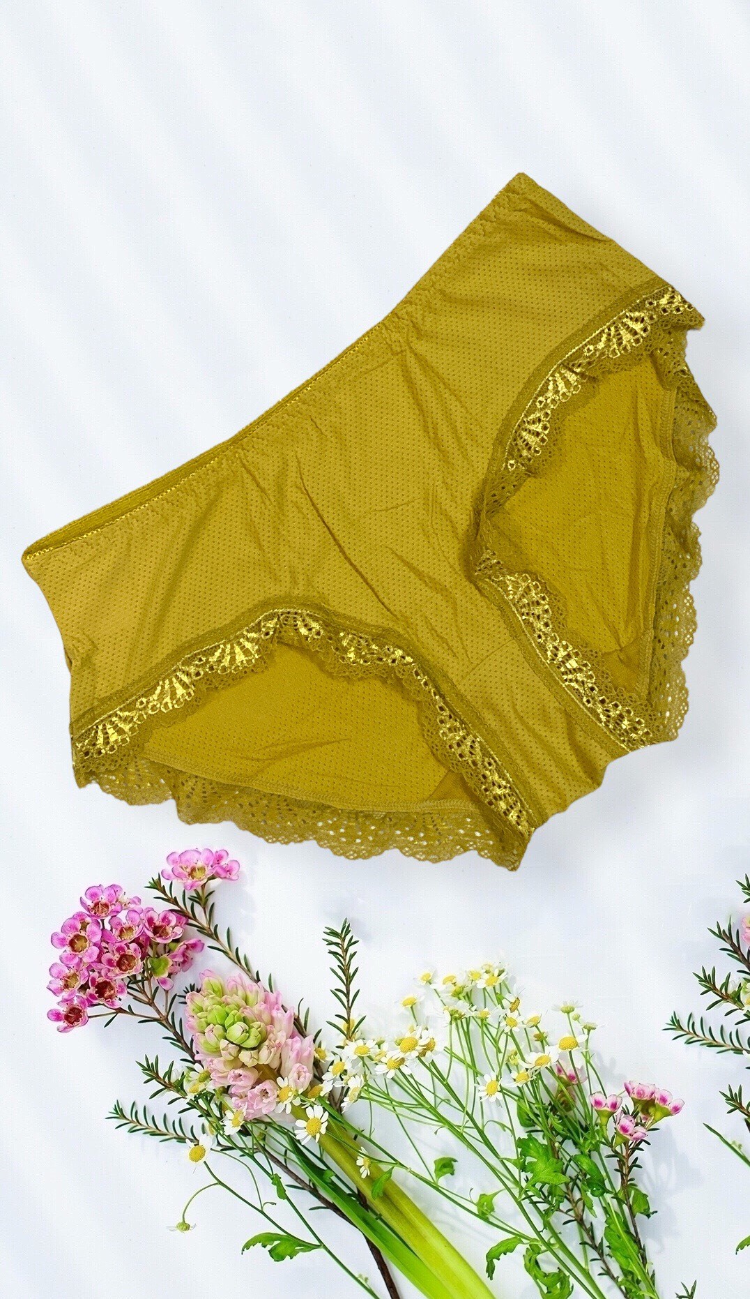 Combo 5 Quần Lót Nữ Thông Hơi Trơn Viền Ren Thái Lan 5866 – Siêu Mềm Mại, Thoáng Khí