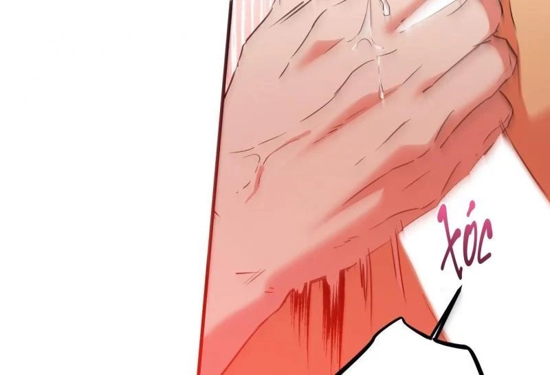 những chú thỏ của hapypy chapter 64 11