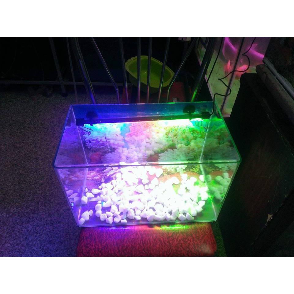 Bộ bể MJ-360