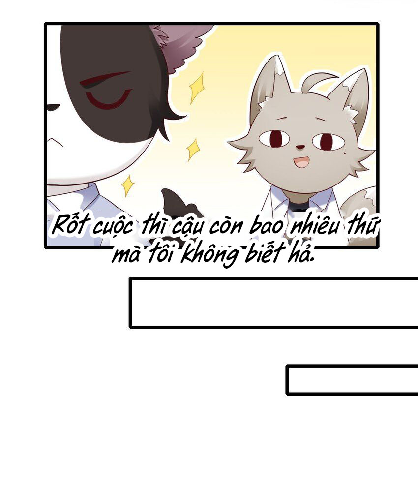 tức thời phạm quy [ tức thì vi quy ] chapter 63 37