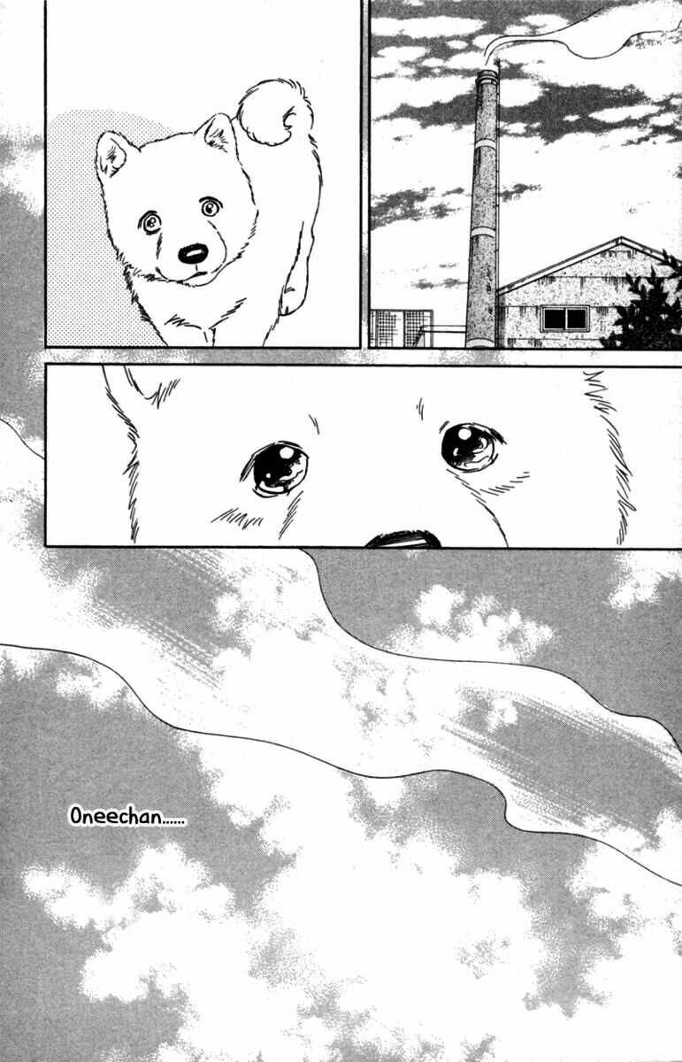 deep love - pao no monogatari chapter 5 29