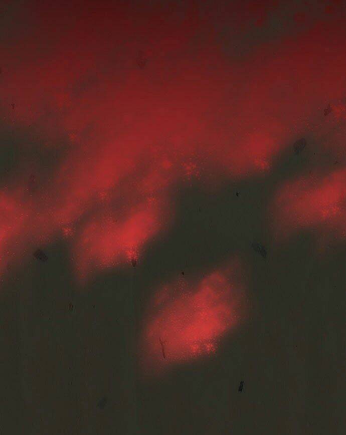 in full bloom chapter 5 21