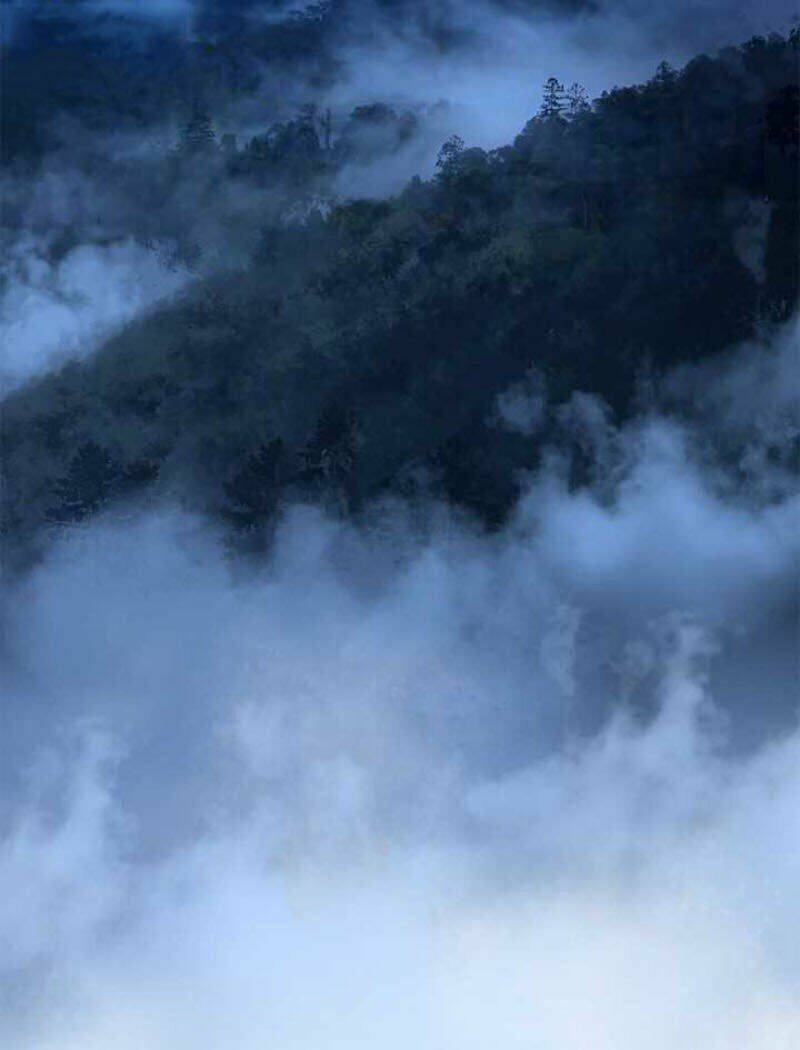 xuyên không thành hổ chapter 1 4