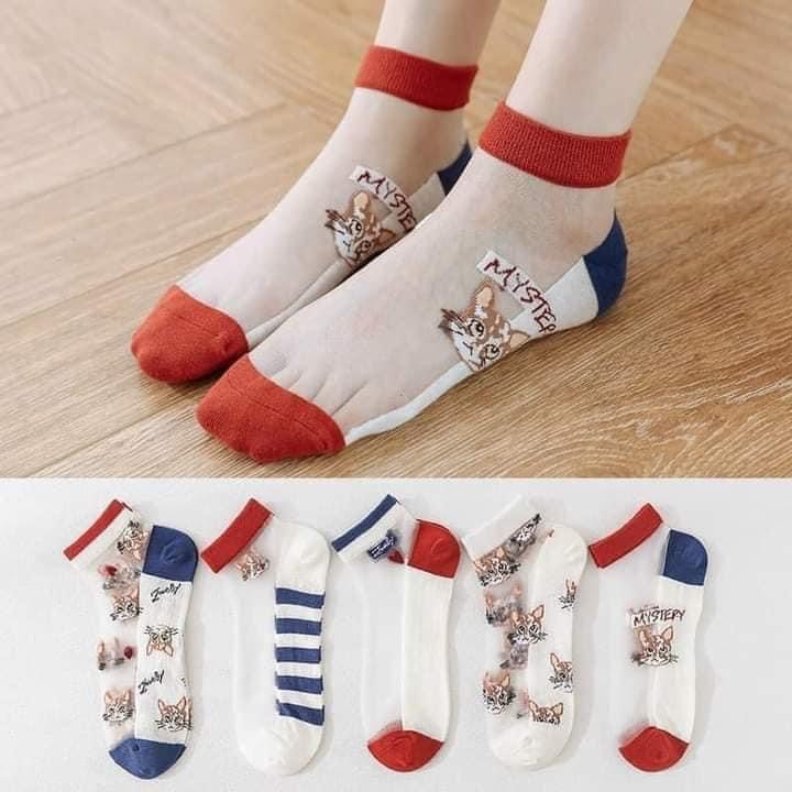 Set 10 đôi tất ren nữ cổ ngắn hình mèo xinh hot trend