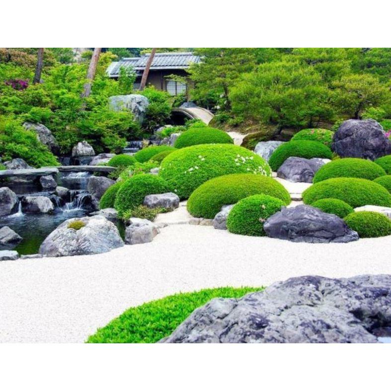 Cát Màu Tiểu Cảnh - trang trí tiểu cảnh, terrarium - Giá cao hơn Cát Thuỷ Sinh