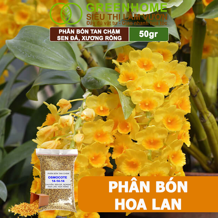Phân Tan Chậm Greenhome, Oscomote, Bao 50gr, Chuyên Sen Đá, Hoa Hồng, Xương Rồng, Bonsai, GIúp Sen Cứng, Giữ Form, Lên Màu