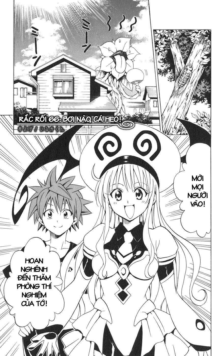 bọn tớ thích cậu! rito chapter 66 1