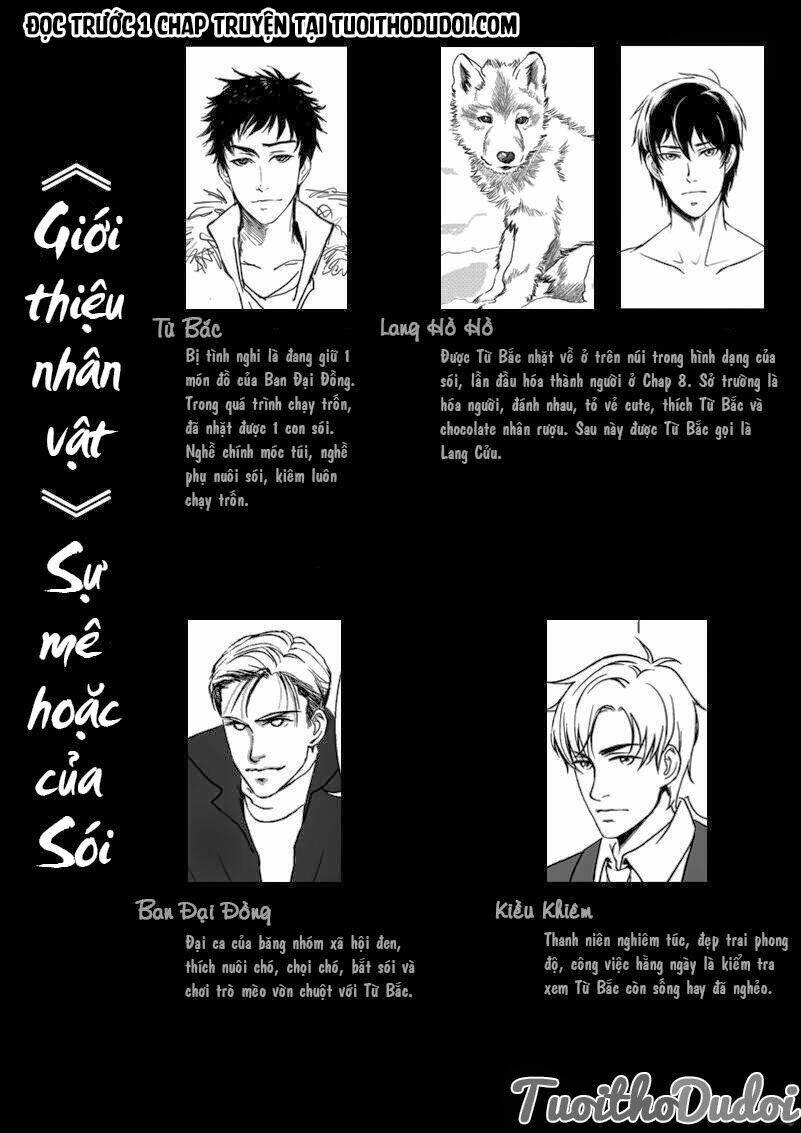 sự mê hoặc của sói chapter 12 2