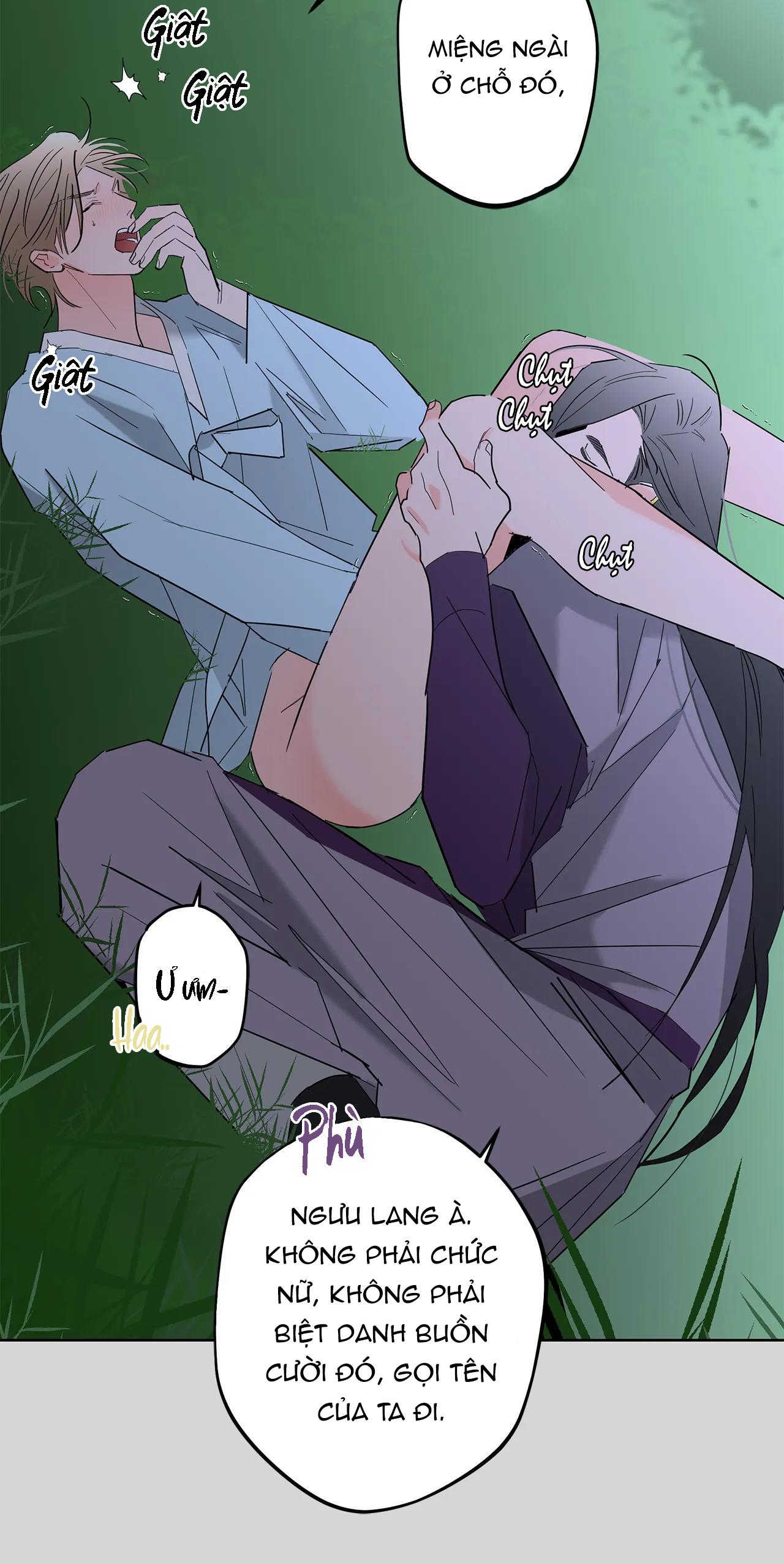 bl cổ trang - âu cổ ngắn nhà kim chapter 12.2 12