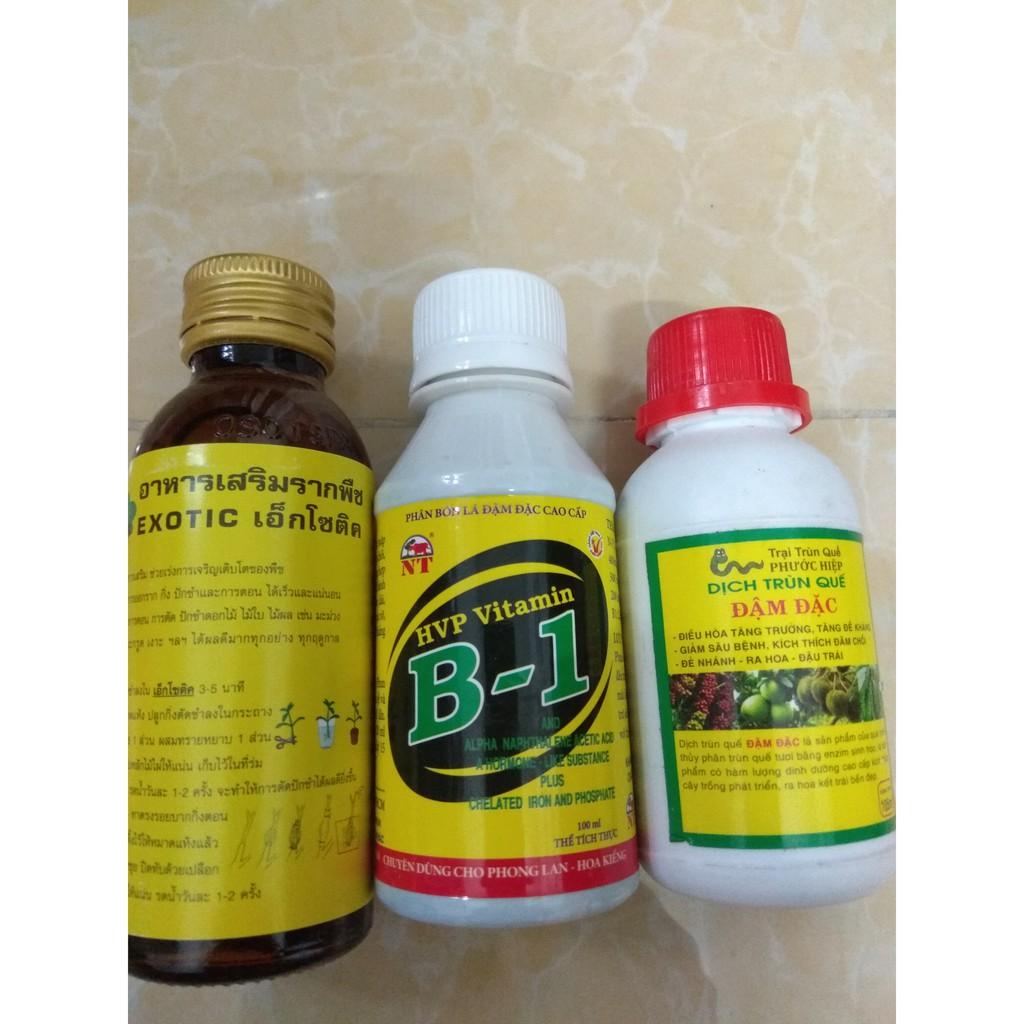 Combo kích rễ dưỡng cây Exotic - B1 HVP 100ml tặng chai dịch trùn quế đậm đặc 105ml