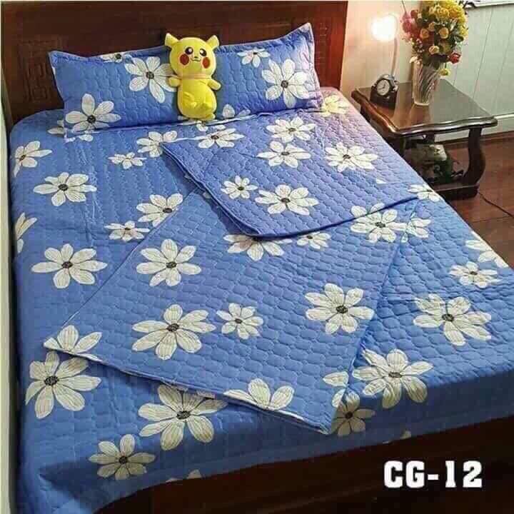 Combo ga trải giường cotton