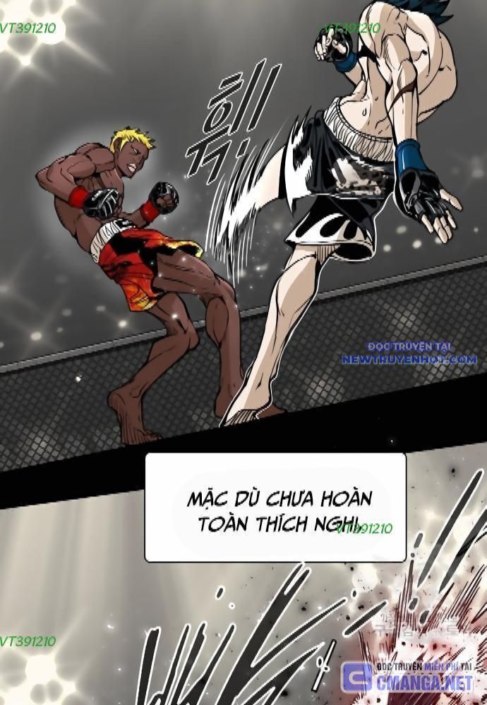 shark - cá mập chapter 260 74