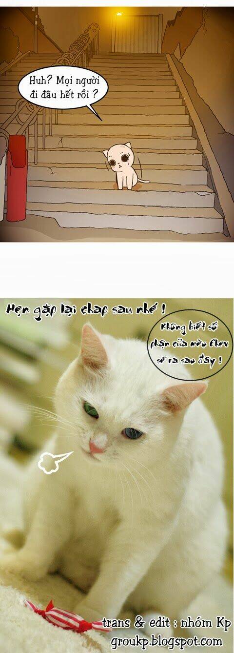 papi nyang chapter 18 16