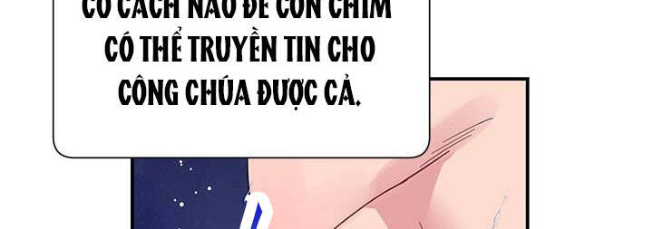 công chúa của loài chim chapter 50 164