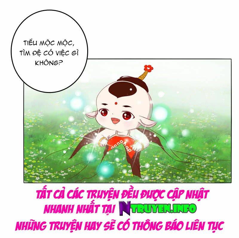 tướng quân mời ra trận chapter 31 16