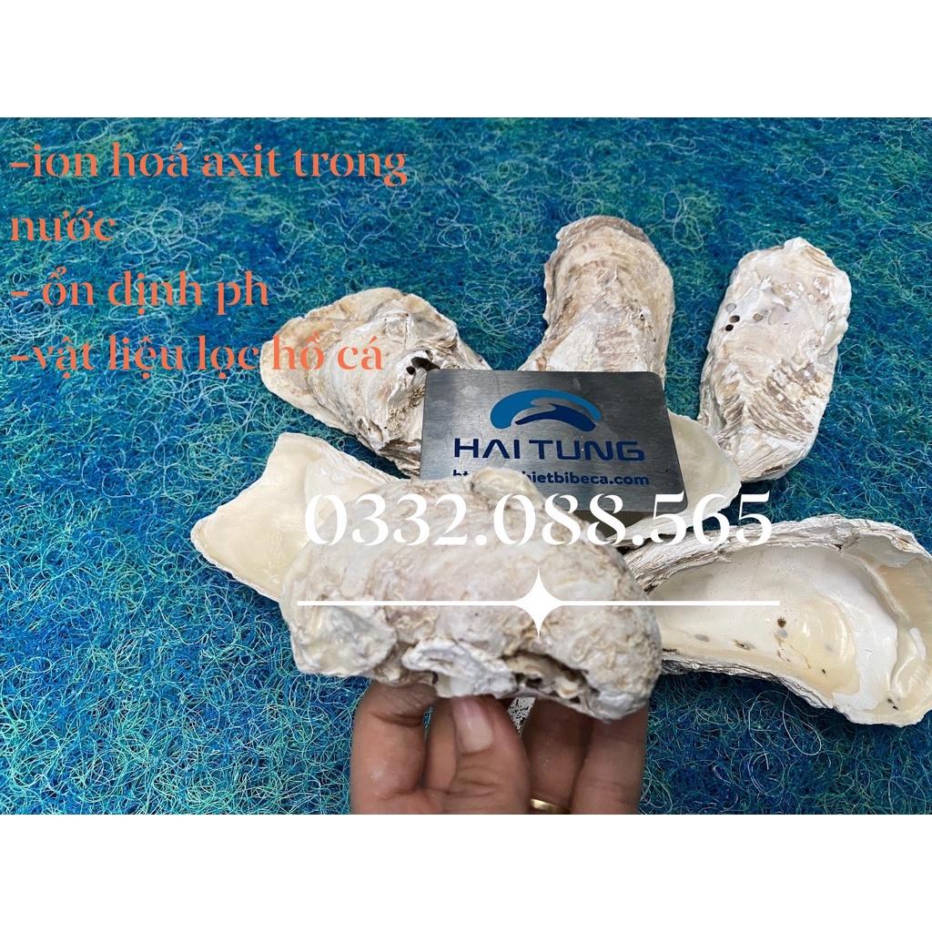 VỎ HÀU ION - VẬT LIỆU LỌC NƯỚC HỒ CÁ - GIÚP ỔN ĐỊNH PH NƯỚC