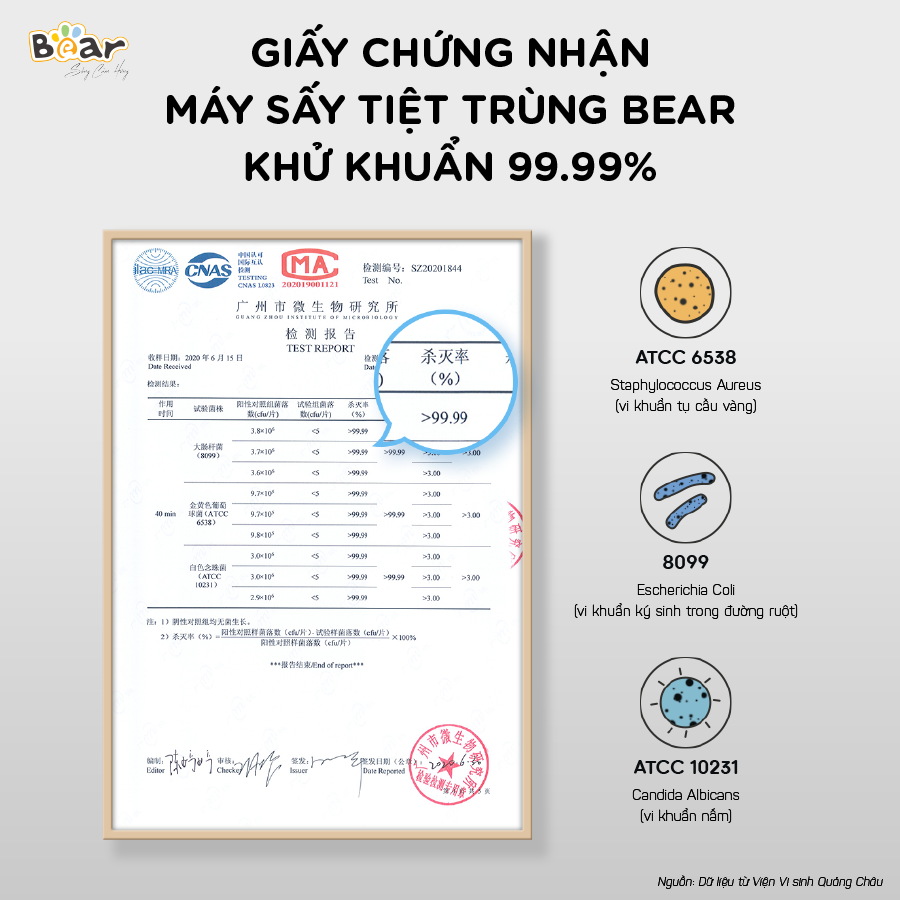 Máy sấy tiệt trùng dao thớt đũa Bear Model XDQ-B01Q1 - hàng chính hãng