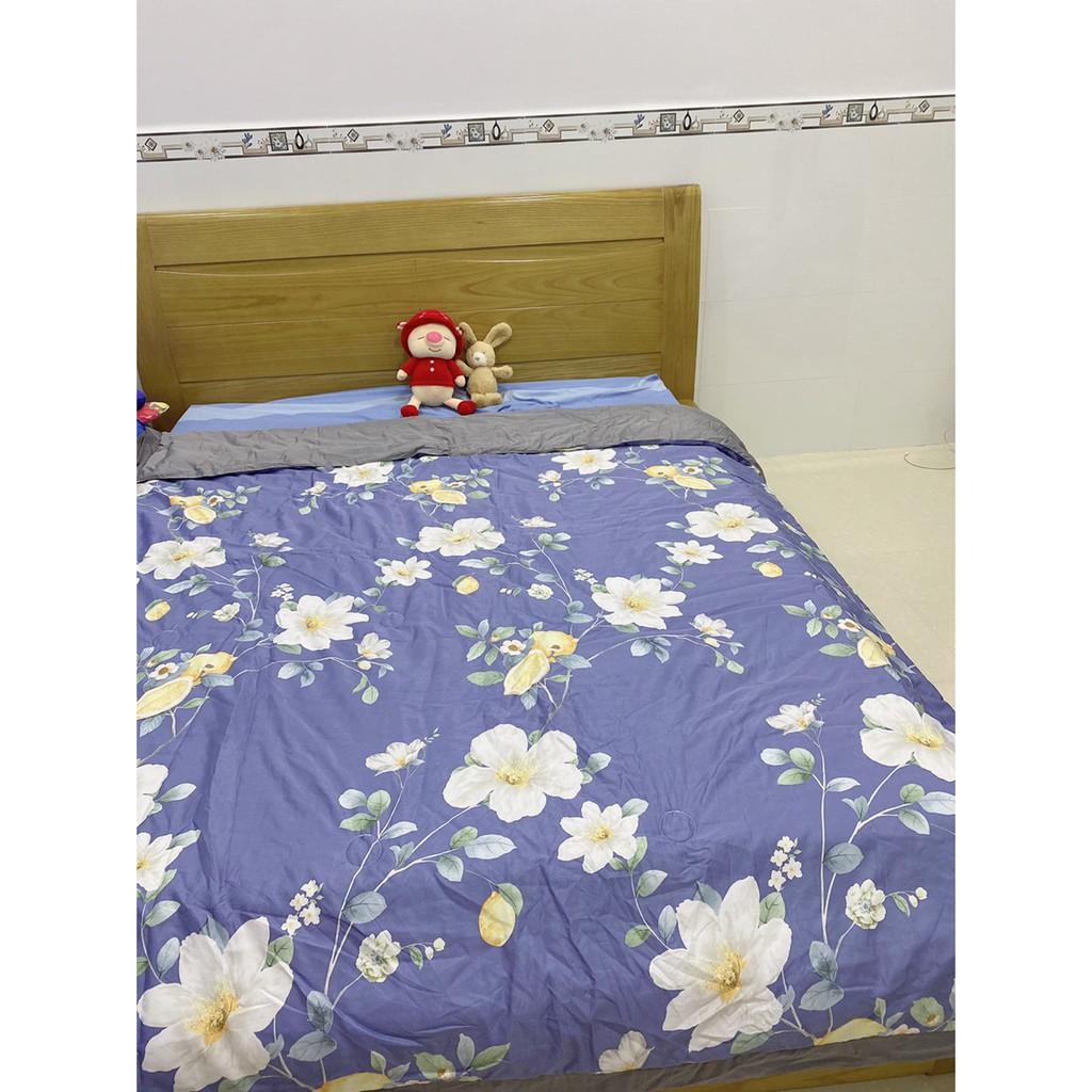 Chăn Hè Cotton Lụa Thái Hàng Nhập Khẩu Cao Cấp Cực Mềm Mịn - Mát Nhẹ Kích Thước Chăn 2mx2m3
