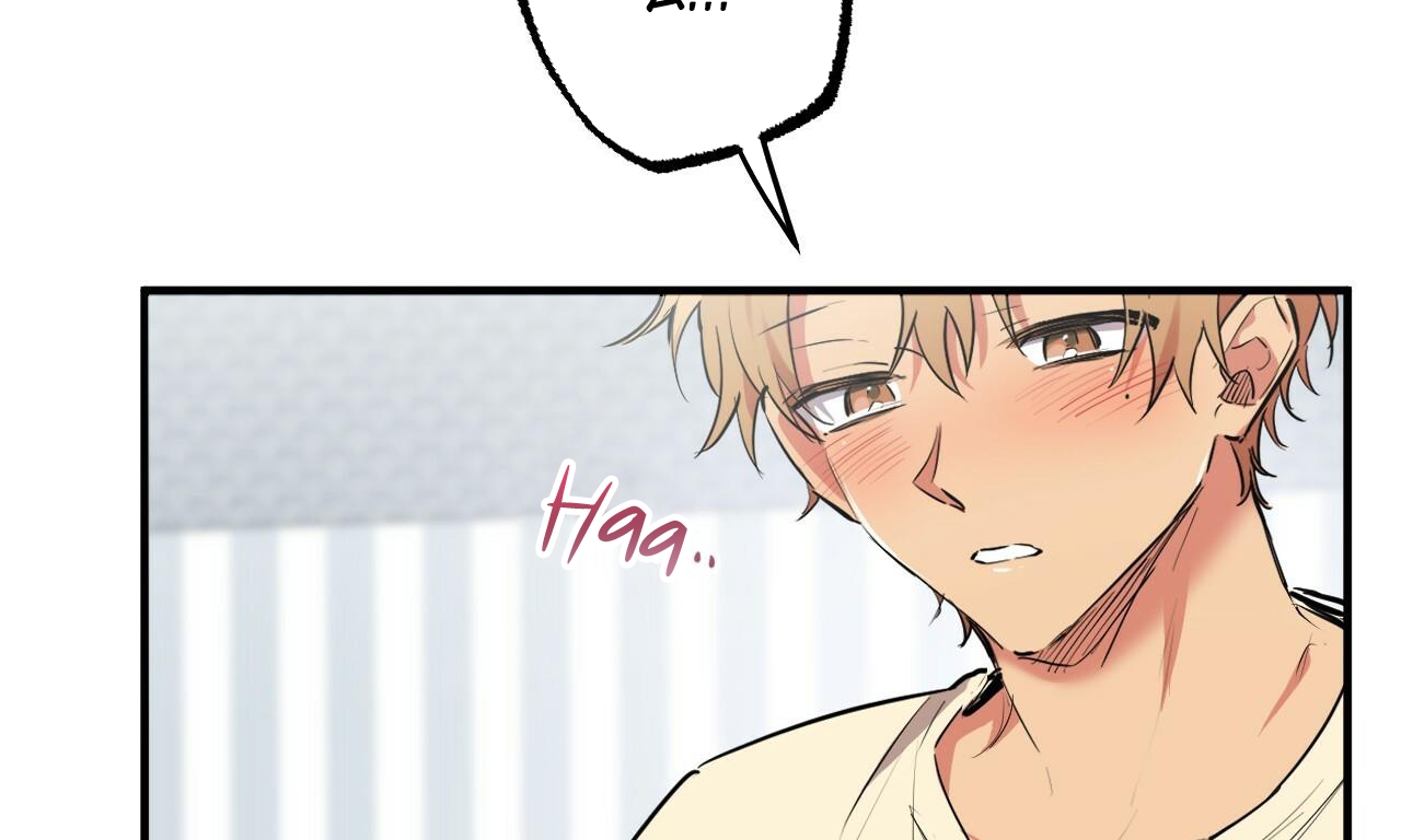 đàn thỏ của habibi chapter 38 9