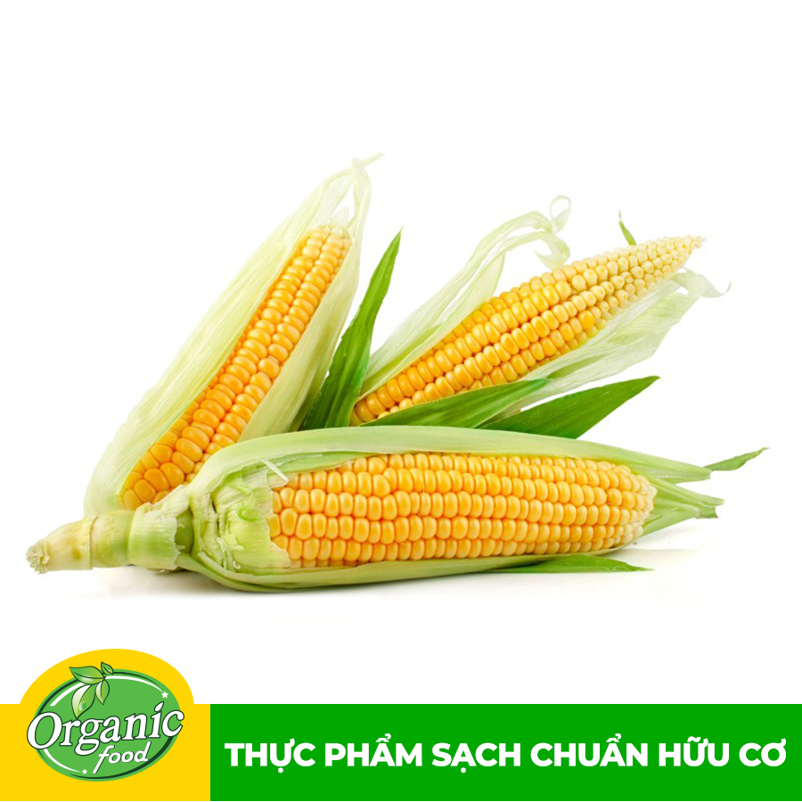 - Bắp ngọt hữu cơ - 500g
