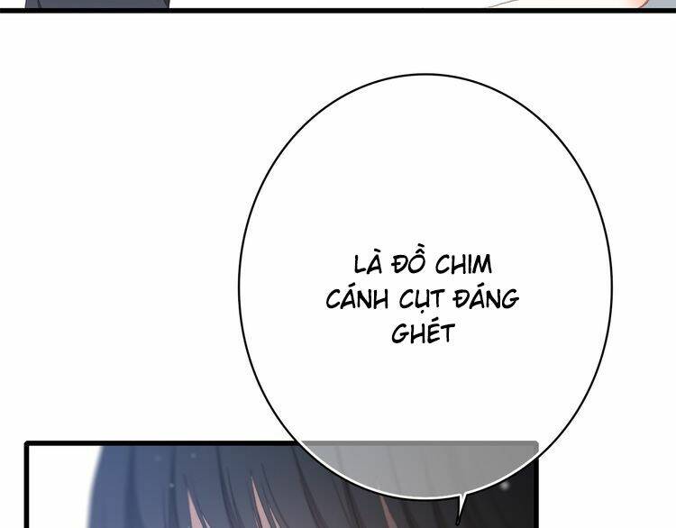 con tim rung động 3 chapter 19 19