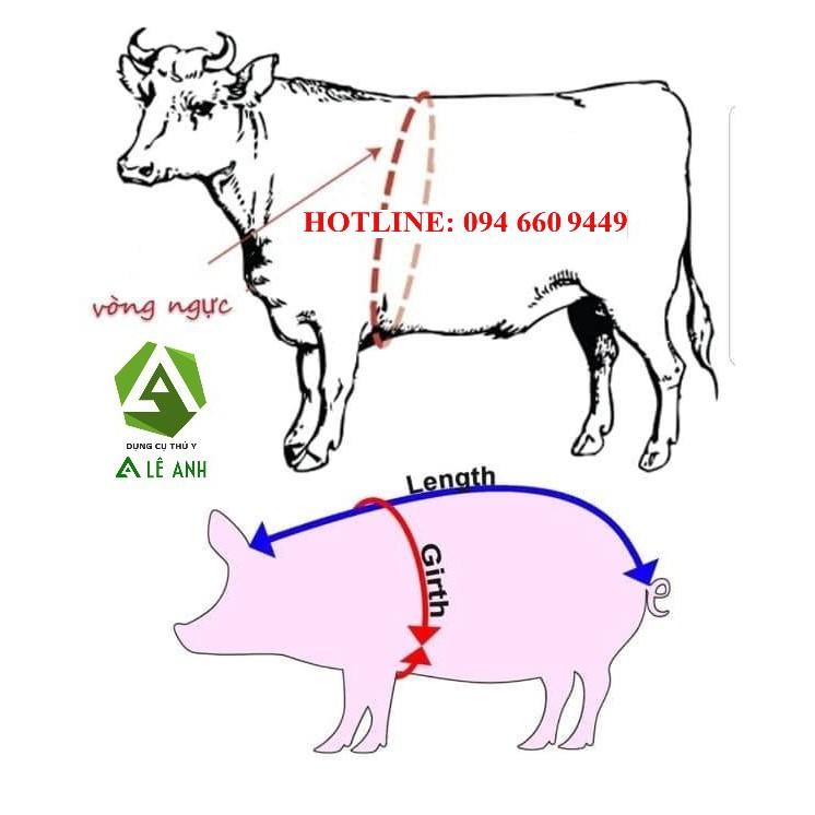 Thước đo thể trọng bò - dây đo trọng lượng