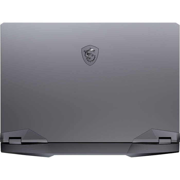 Laptop MSI GE66 Raider 10UG-205VN (Core i7-10870H/ 16GB (8GB x2) DDR4 3200MHz/ 2TB SSD M.2 PCIe G3X4/ RTX 3070 8GB GDDR6/ 15.6 FHD IPS, 300Hz/ Win10) - Hàng Chính Hãng