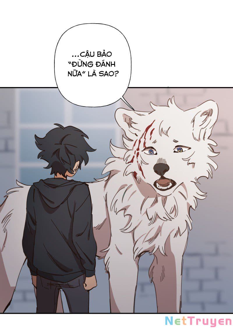 lumine - cội nguồn ánh sáng chapter 78 2