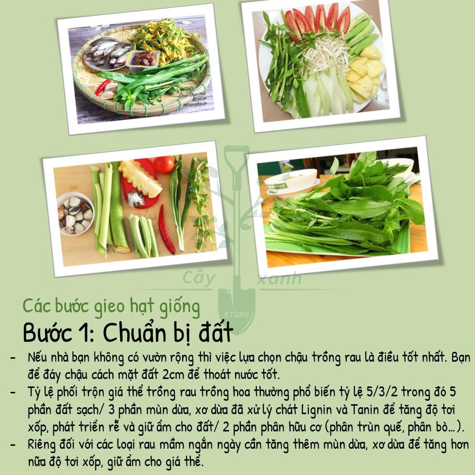 Hạt Giống Ngò Gai (Mùi Tàu) Dễ Trồng, Thơm 5Gr - Phú Nông Seeds - Shop Đất sạch, Phân Bón, Hữu Cơ, Xơ Dừa