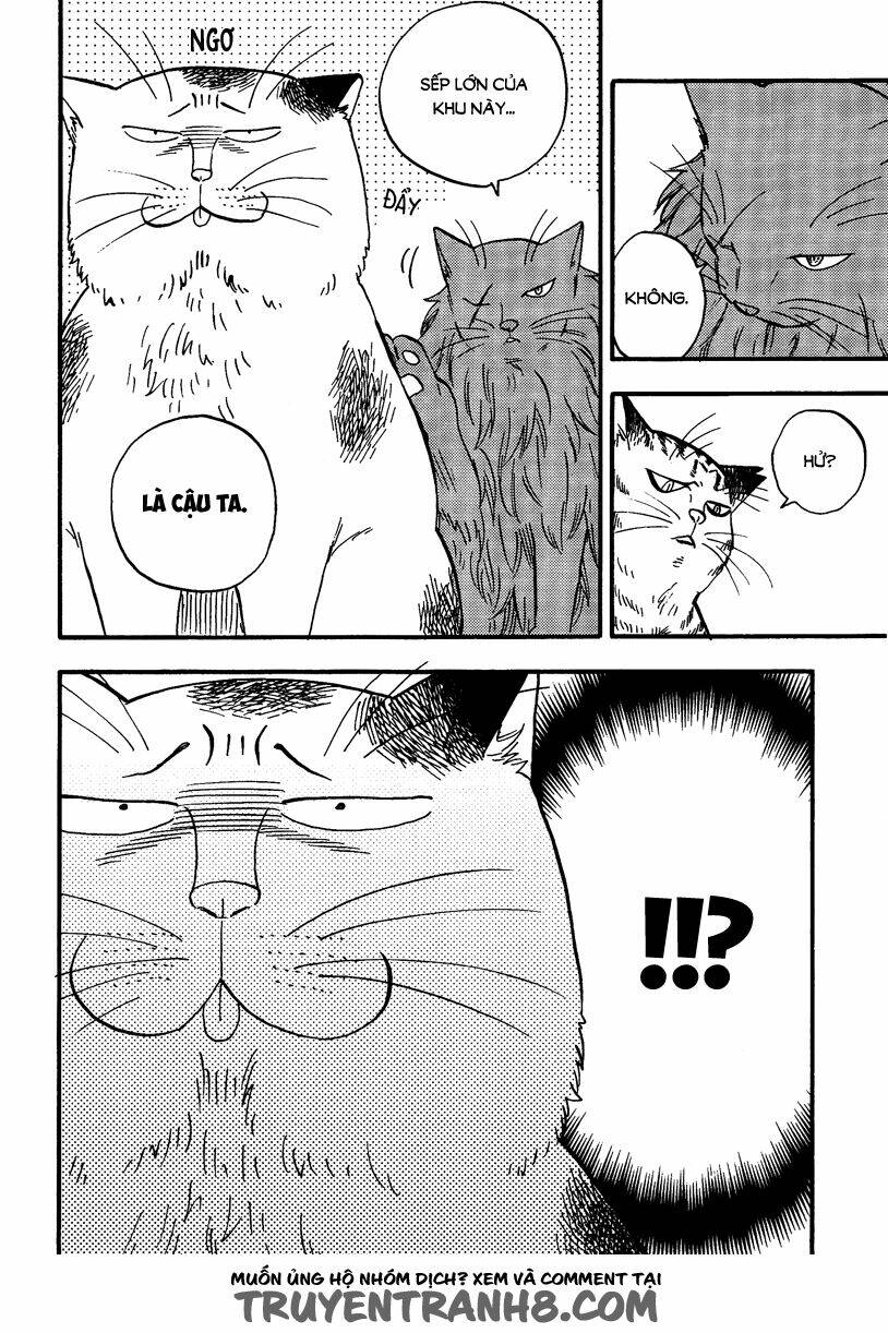 tui là busamen! chapter 5 13