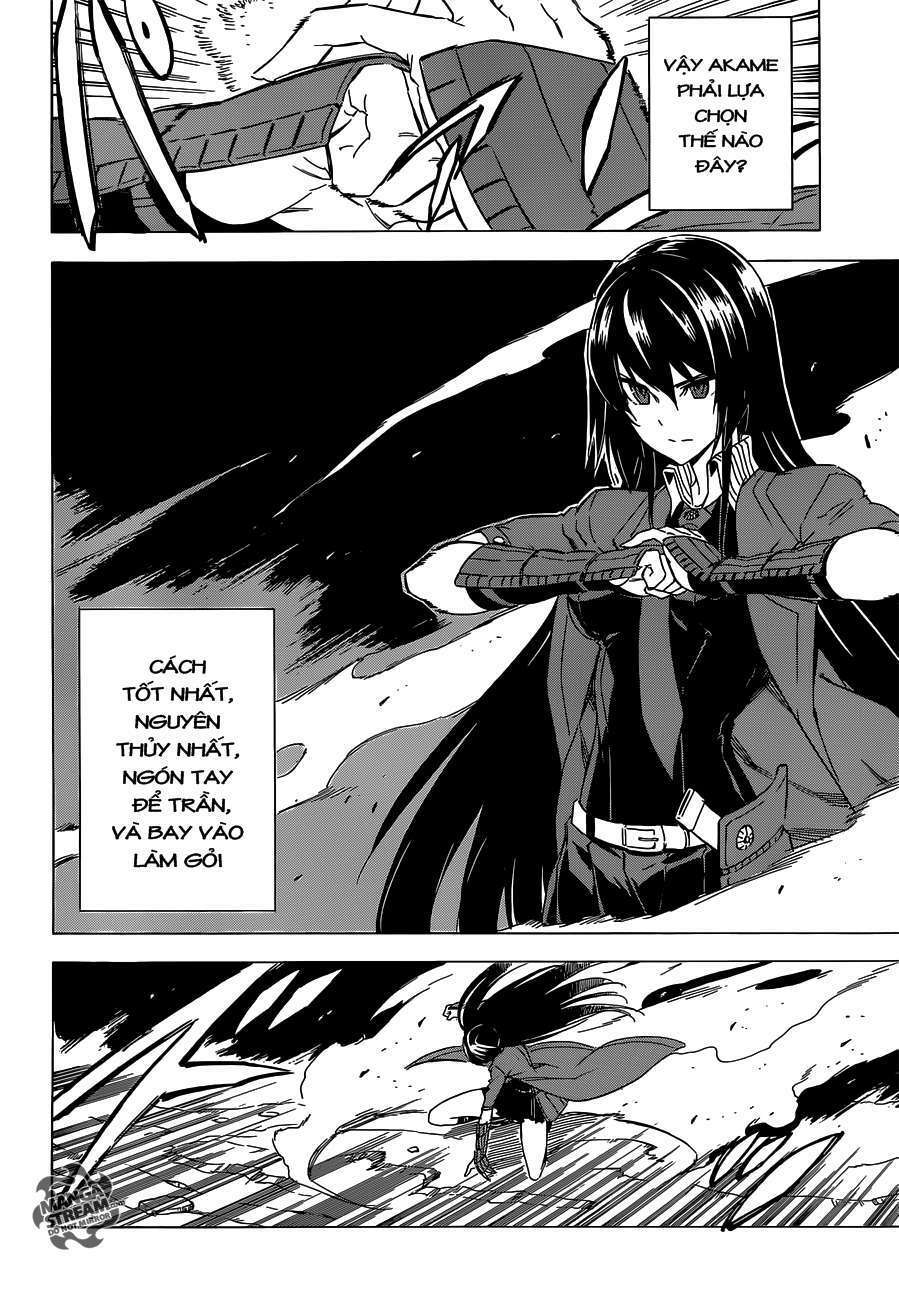 akame ga kiru! chapter 59.2 13