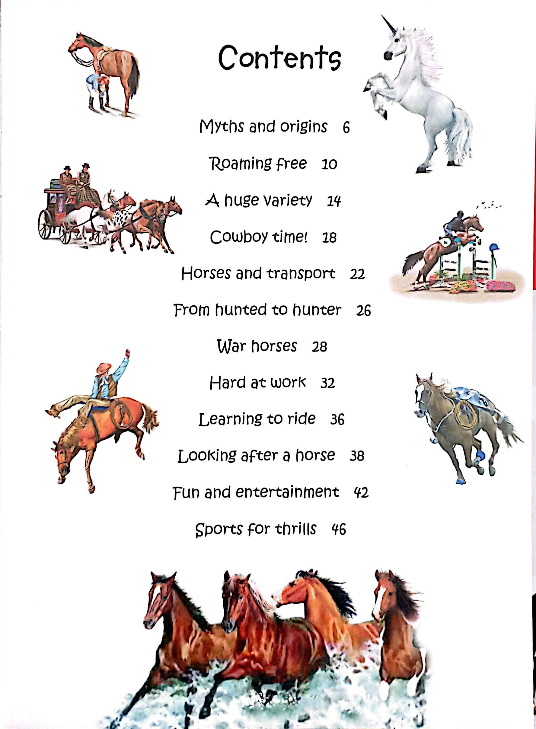 Sách ngoại văn: 101 Fascinating Facts To Know About - Horses