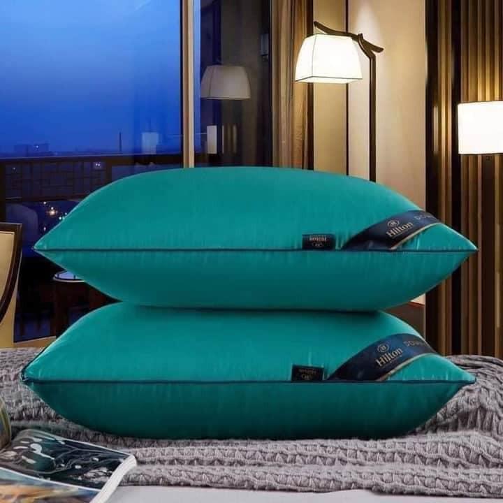 Ruột Gối Đầu Cao Cấp Pillow Nhiều Màu Kích Thước 45x65cm