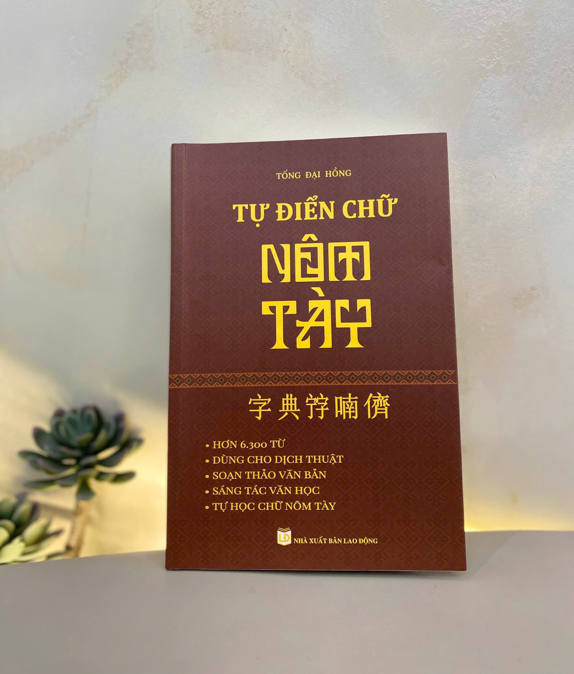 Sách - Từ điển chữ Nôm Tày - Tác giả Tống Đại Hồng - Trithuctrebooks - Khổ 16*24 cm