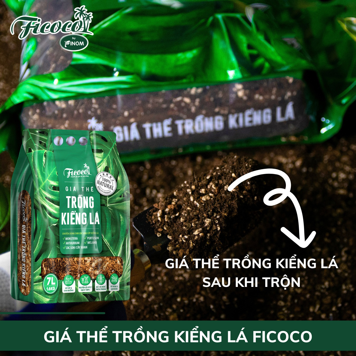 Giá Thể Trồng Kiểng Lá Cao Cấp Ficoco
