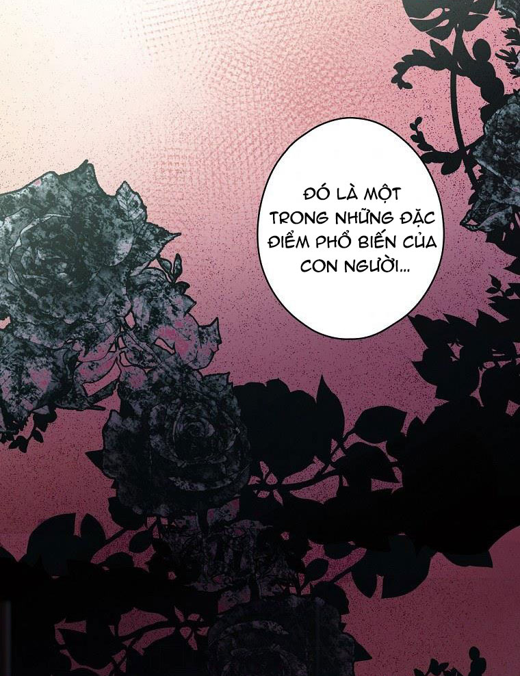 cổ tích về người mẹ kế chapter 81 26