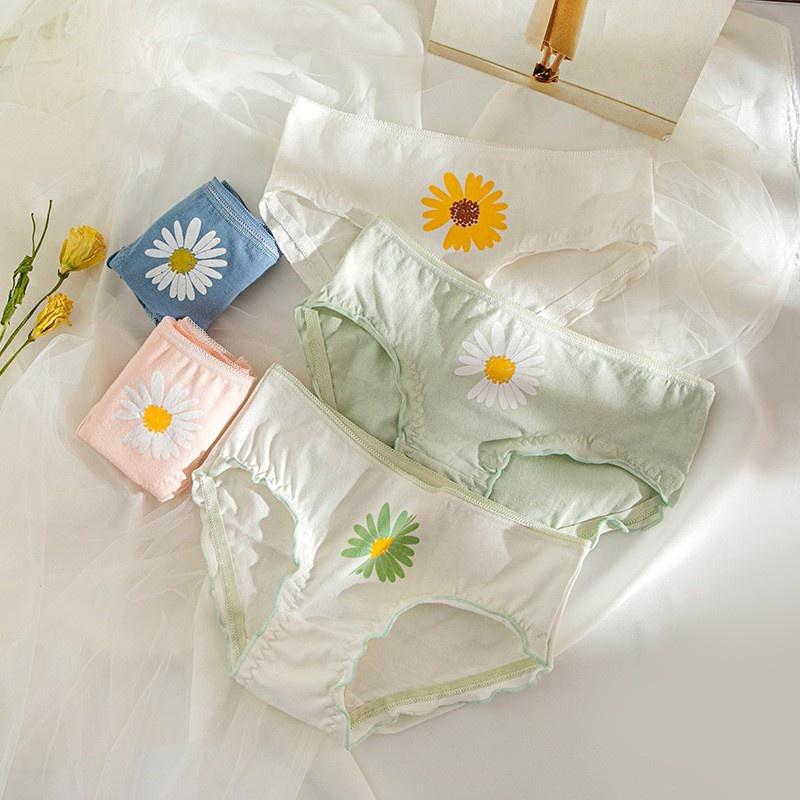 Quần Lót Nữ Cotton Cúc Họa Mi Thời Trang Ngang Eo . Hàng Loại Đẹp.