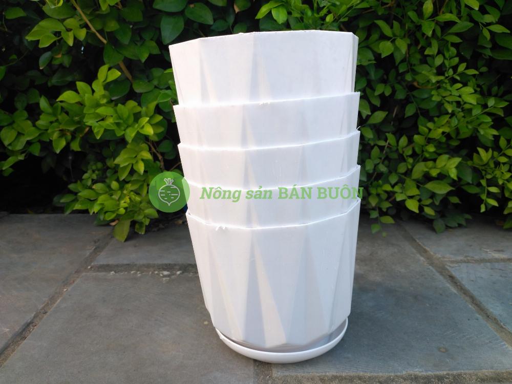 10 Chậu nhựa Múi Khế trắng trơn 140x115 có kèm Đĩa Lót, trồng xương rồng, sen đá, cây cảnh mini để bàn