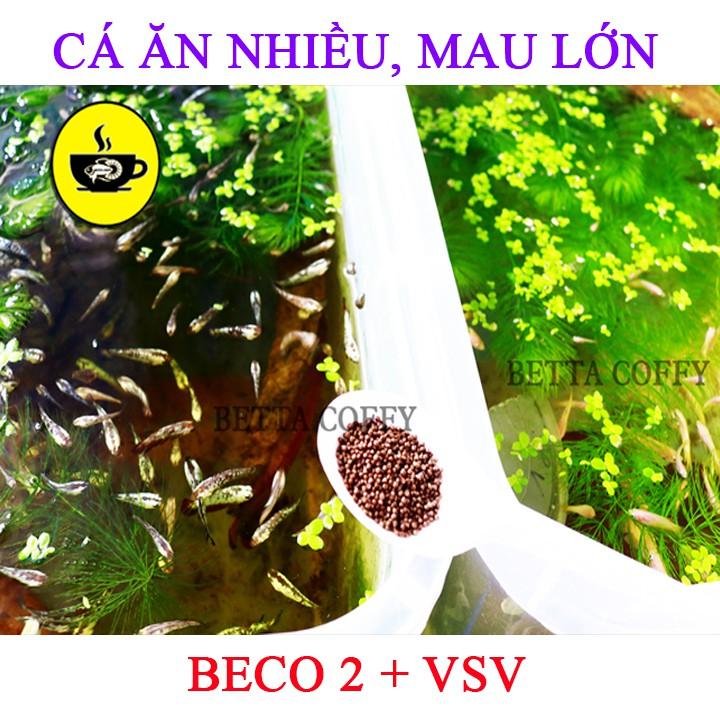 Thùng Nhựa Nuôi Cá tròn vuông khây chữ nhật ép đẻ