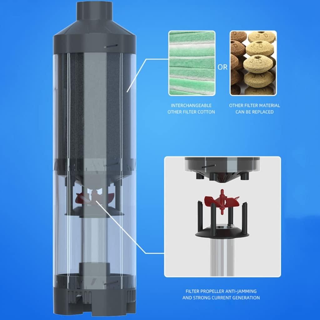 SEPATOR PHÂN PHỐI PHÂN PHỐI BÂY GIỜ, Bộ sưu tập cá, phụ kiện làm sạch hồ cá