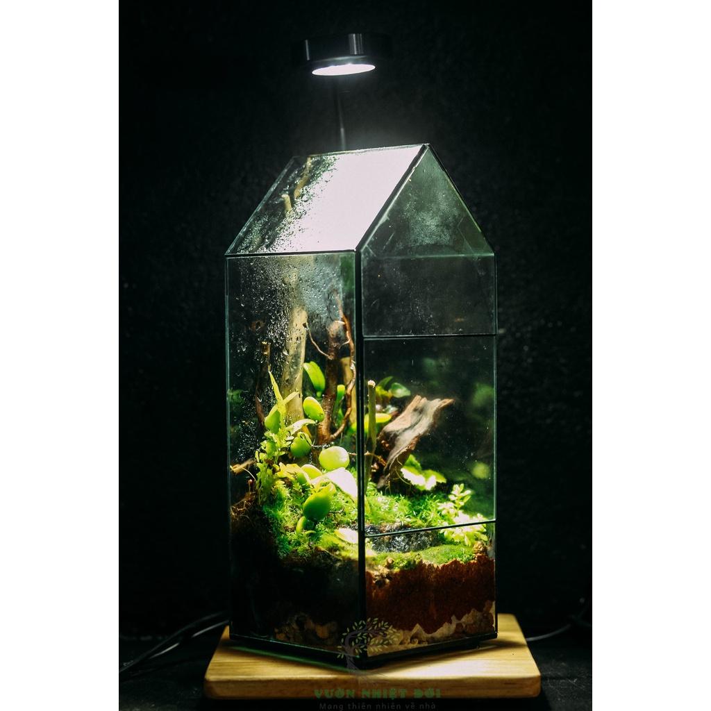 Bể Terrarium Đa Giác Setup Bán Cạn Để Bàn Làm Việc Mở Được Cánh Cửa