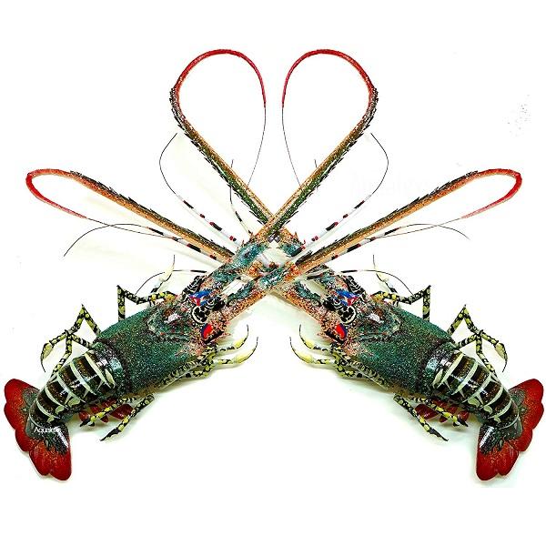 TÔM HÙM TRE MỸ NGHỆ ĐỘC ĐÁO