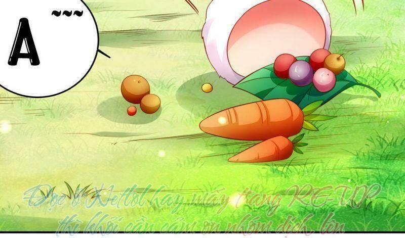 thiên kim bất hoán chapter 54.5 46