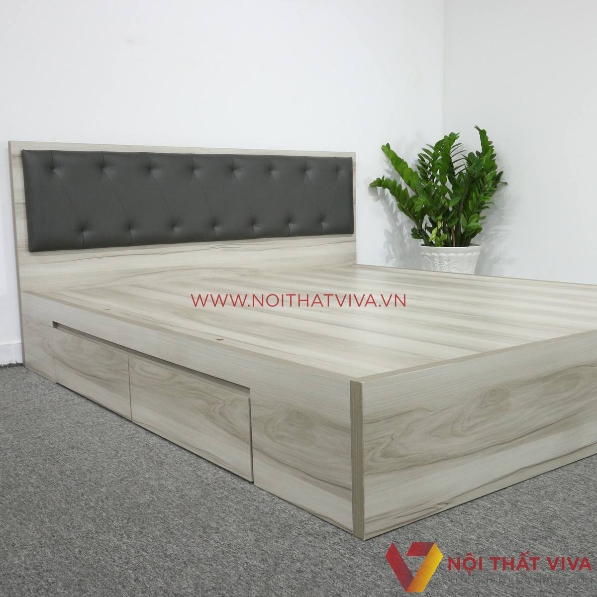 Giường Ngủ MDF Melamine Màu Xám Nhạt Vân Gỗ Có Hộc Kéo + Đầu Nệm Đen Đẹp