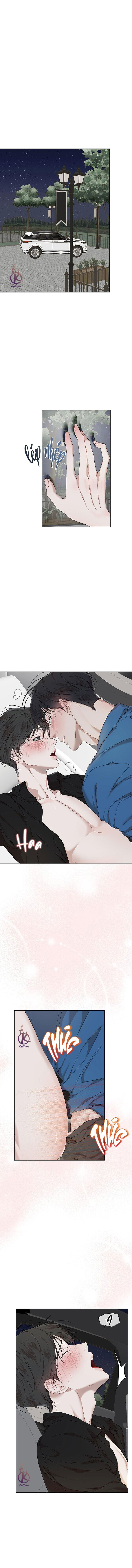 hình thái khởi sinh chapter 84 1