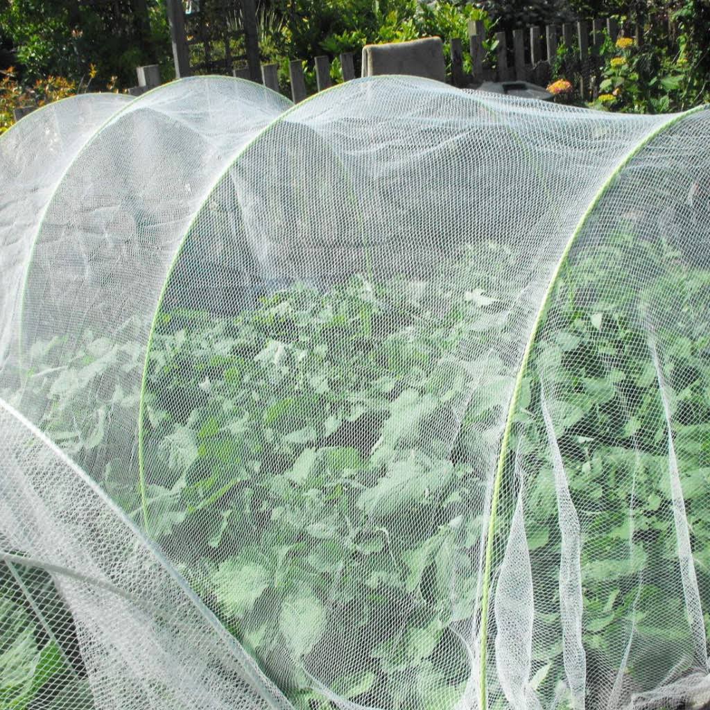 Lưới chắn côn trùng khổ 2 met chuyên dùng màng che côn trùng, trồng rau ăn lá